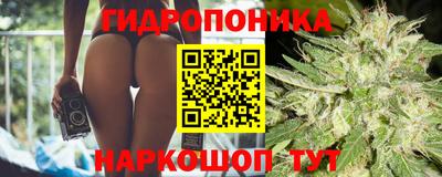 скорость Новозыбков