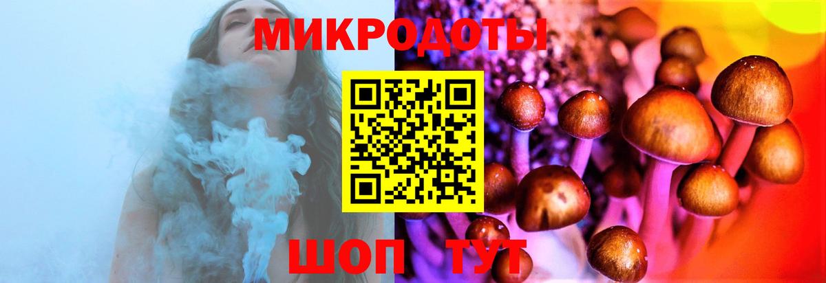 Галлюциногенные грибы Psilocybine cubensis  Псилоцибиновые грибы прущие грибы  Вход с VPN  Тамбов 